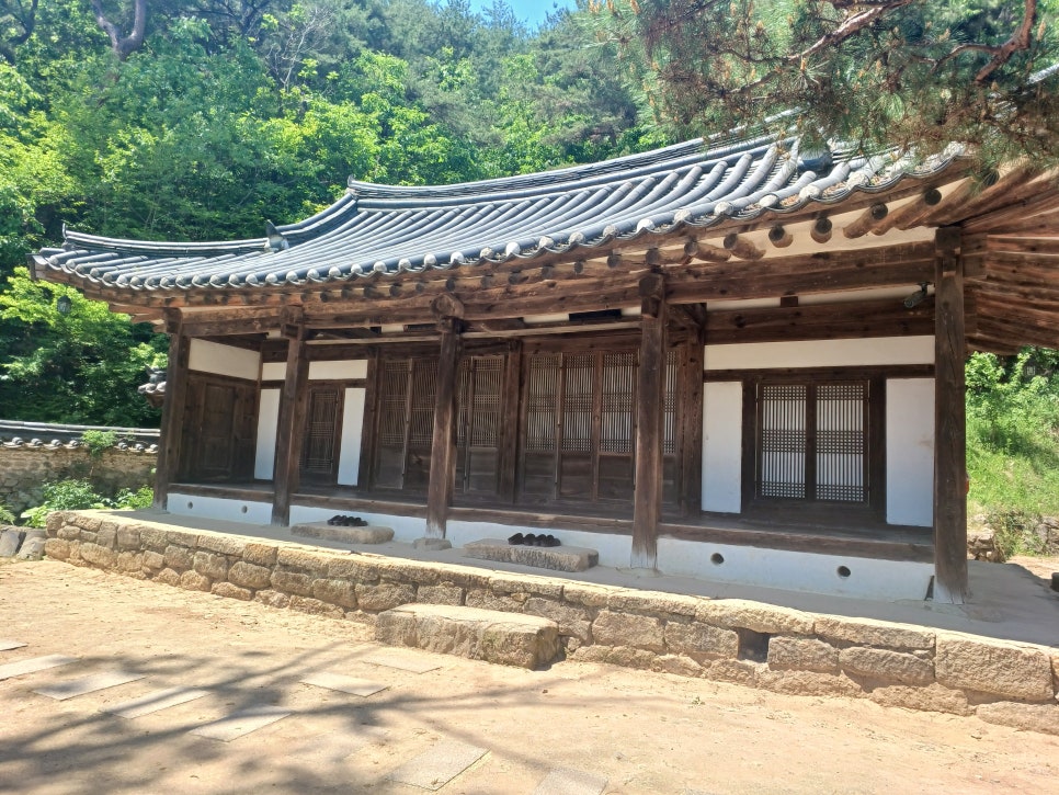 해골 사진 5