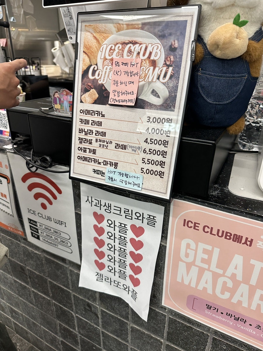 타코페퍼 사진 4