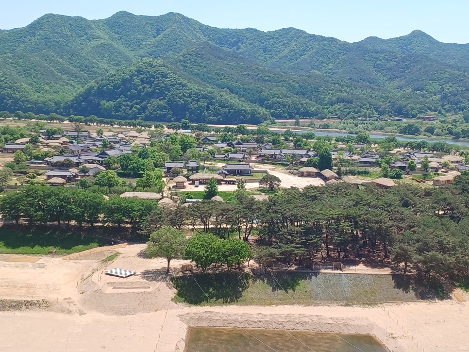 해골 사진 1
