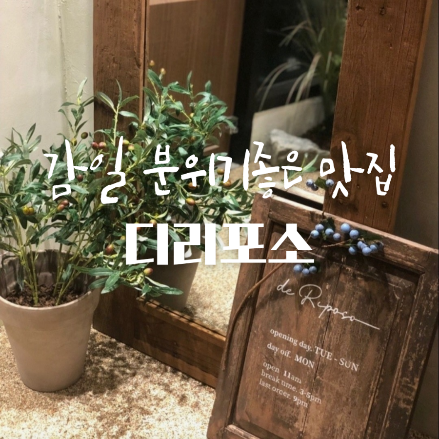 디리포소 사진 1