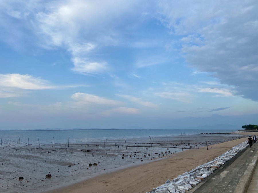 면천서문콩국수 사진 3