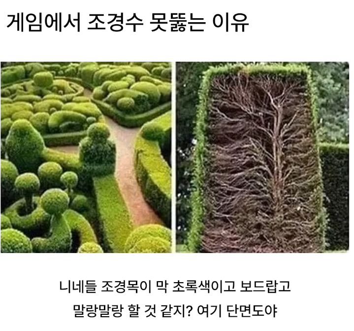  게임에서 조경수 못뚫는 이유