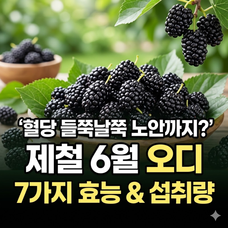  오디 효능 7가지와 하루 섭취량, 혈당 들쭉날쭉 노안까지 왔다면