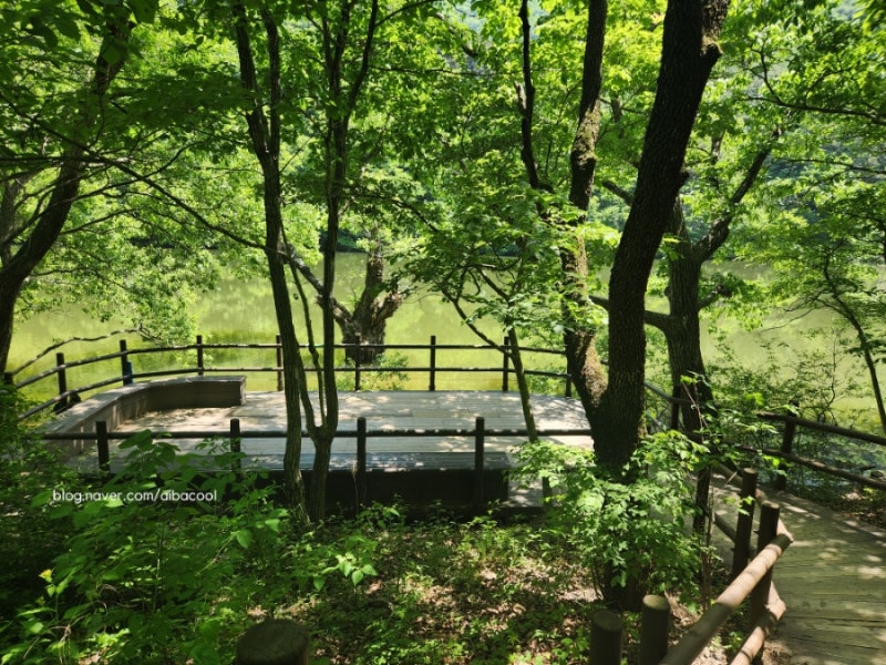 청송 가족여행~달기약수터, 서울여관식당, 주산지