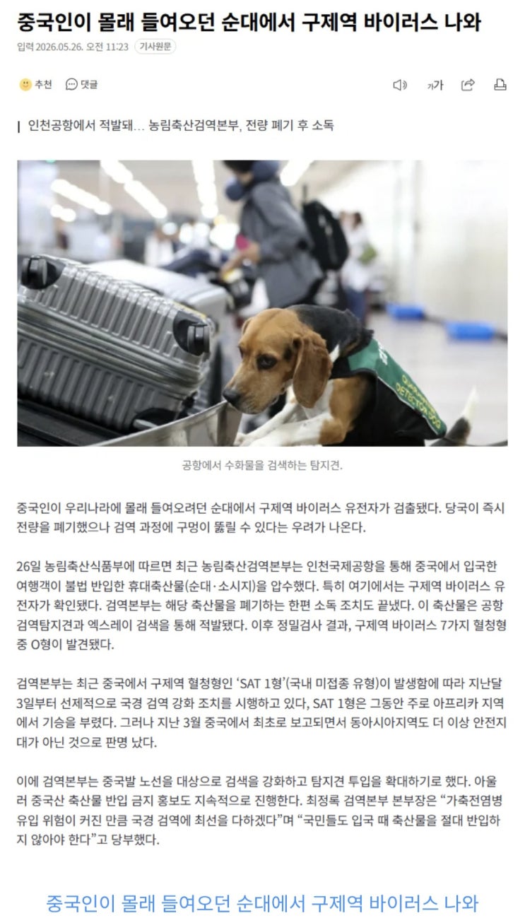  중국인이 몰래 들여오던 순대에서 구제역 바이러스 나오다