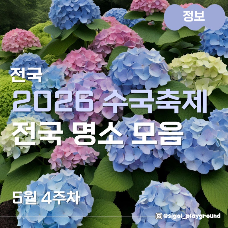 2026 수국축제 전국 수국 명소 일정 (울산 장생포/공주/거제/용인)