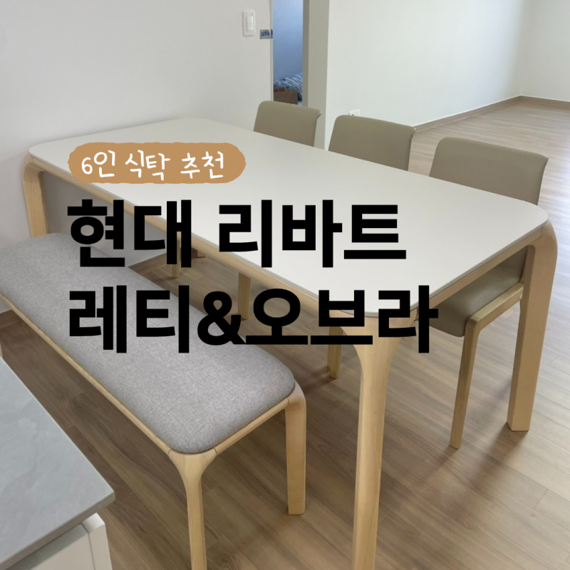 현대 리바트 레티식탁/오브라체어 6인식탁 추천