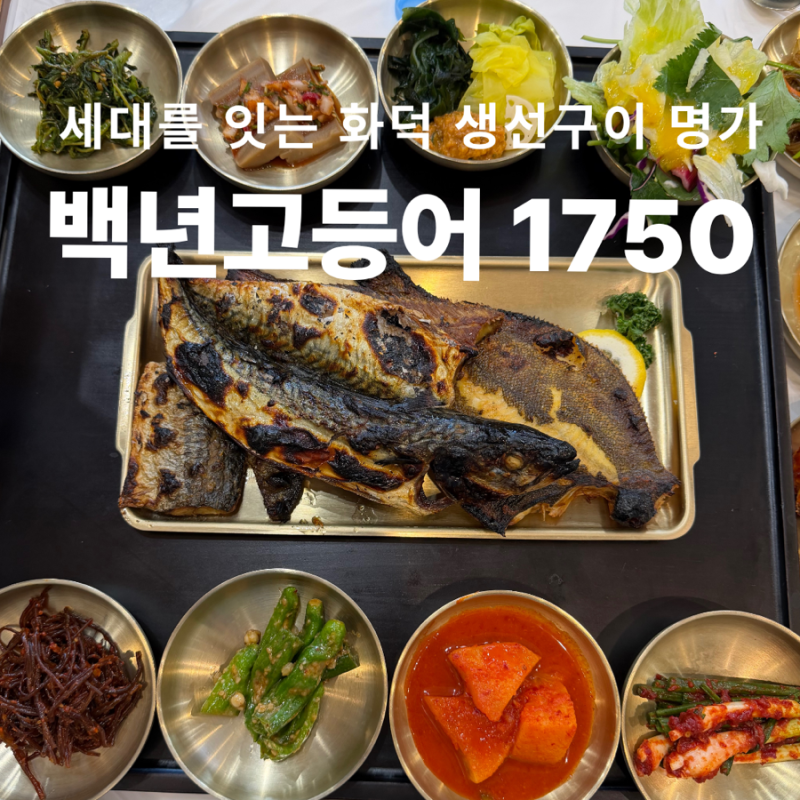 동탄맛집 | 화덕생선구이 명가 백년 고등어1750 모듬구이정식 내돈내산 후기
