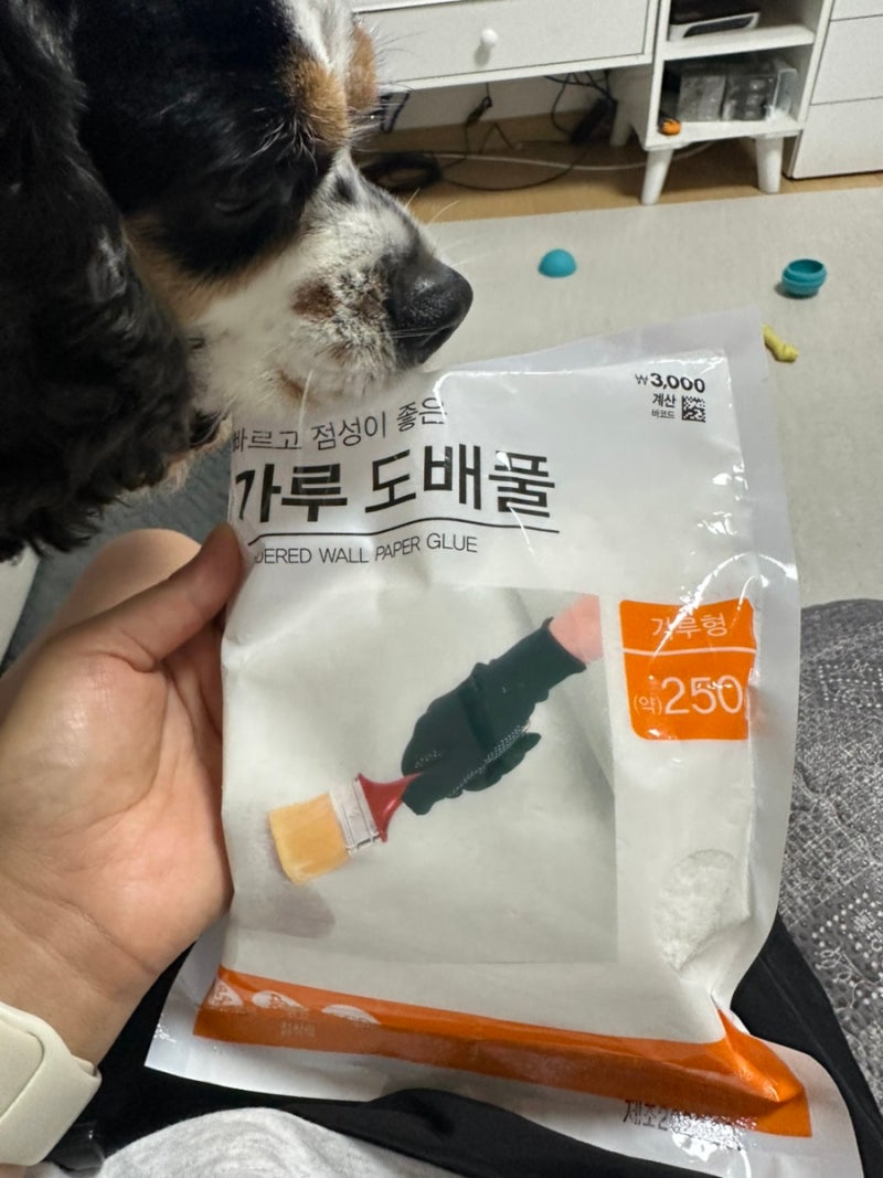 다이소 가루도배풀 셀프보수 후기