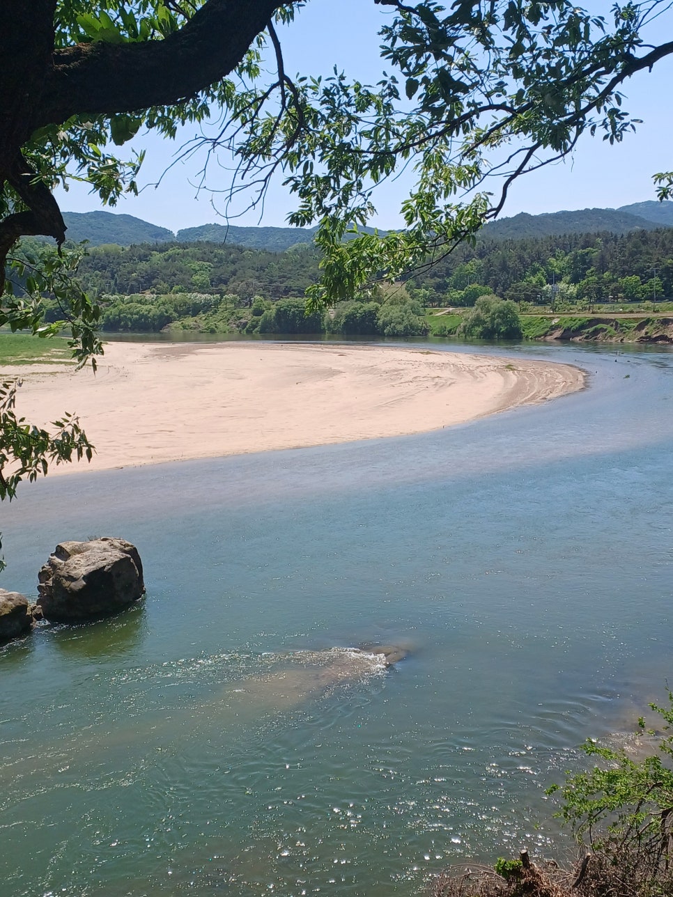 해골 사진 4