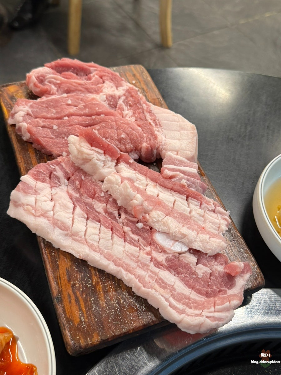 돈마마 사진 4