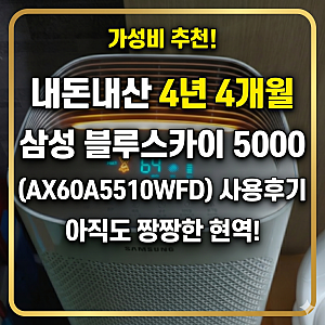 가성비 공기청정기추천 삼성전자 블루스카이 5000 AX60A5510WFD 4년 4개월 내돈내산 사용후기