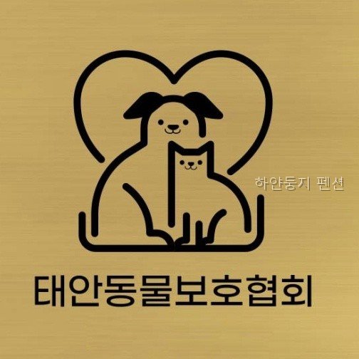 둥지펜션 사진 2