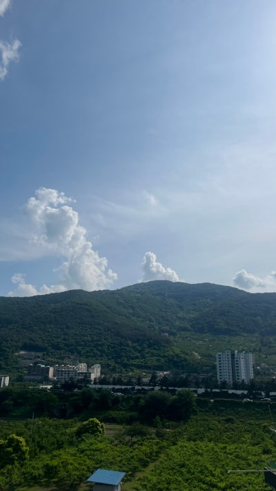 경북 청도 카페 베이커리카페 뷰맛집 마운틴뷰카페 감성카페 대형카페 신상 대형카페 가족 모임 카페[그린 하루 베이커리 카페]
