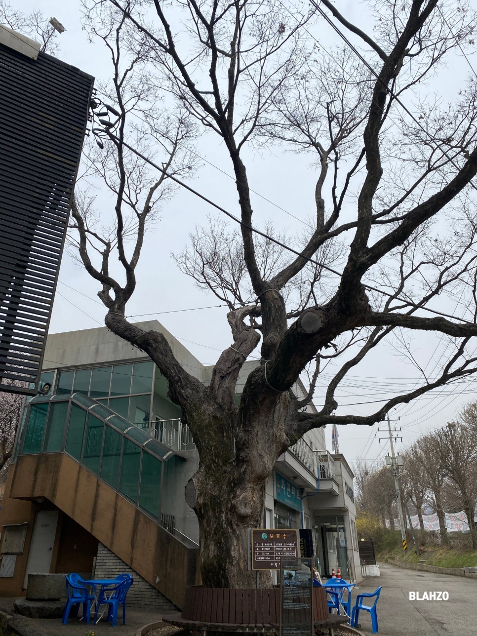 은미정 사진 5