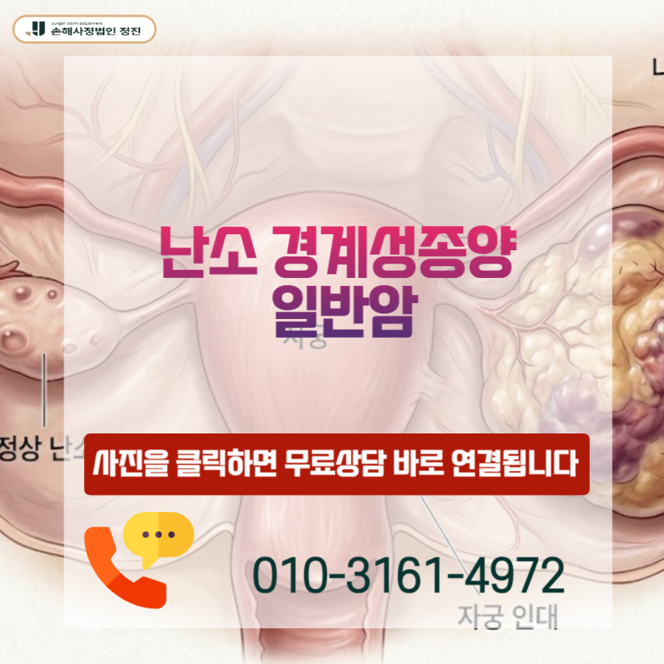  난소 경계성종양 일반암, 20%만 준다는 보험사에 100% 전액 받아낸 손해사정사 전략