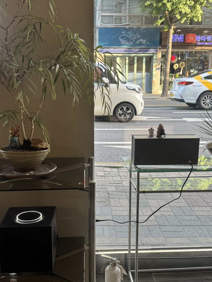 박명도봉평메밀막국수 본점 사진 1