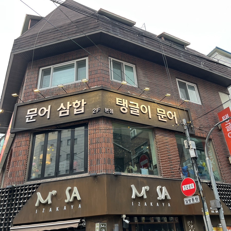 탱글이문어 사진 1