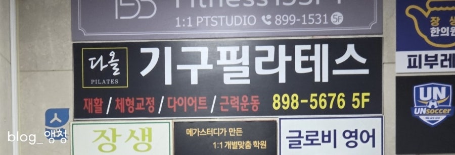 다올 사진 2