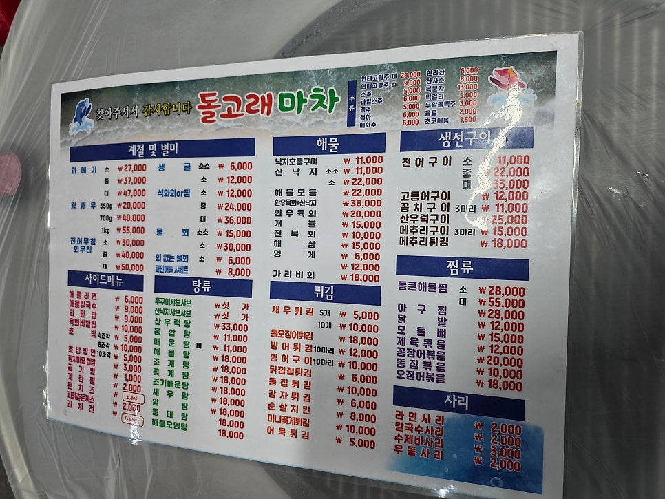 돌고래마차 사진 5