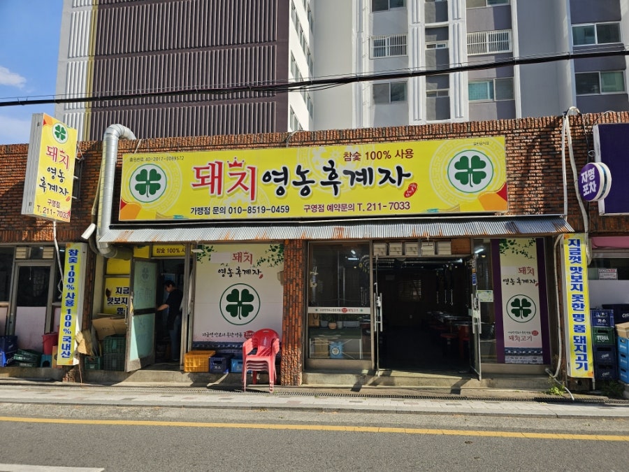 돼지영농후계자 구영점 사진 1