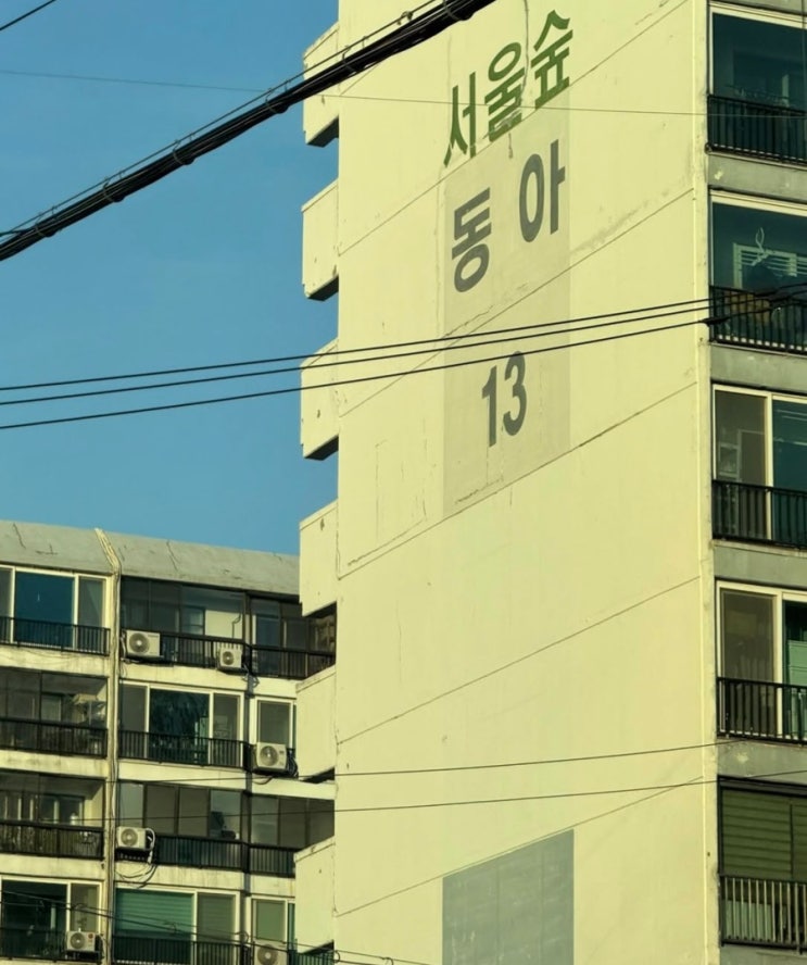 서울숲 동아 아파트 & 오티에르 포레 재건축 어디까지? 임장 후기