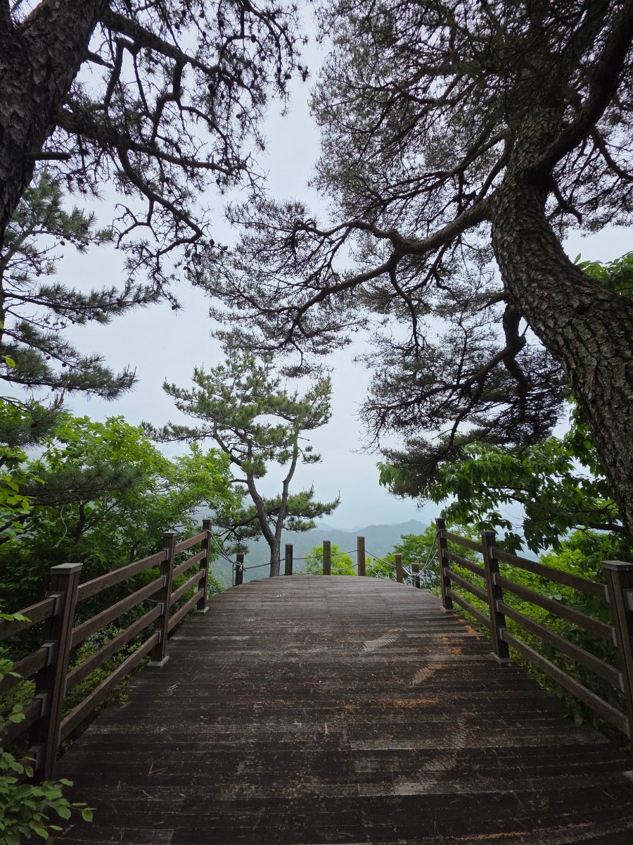 삼비산 사진 3