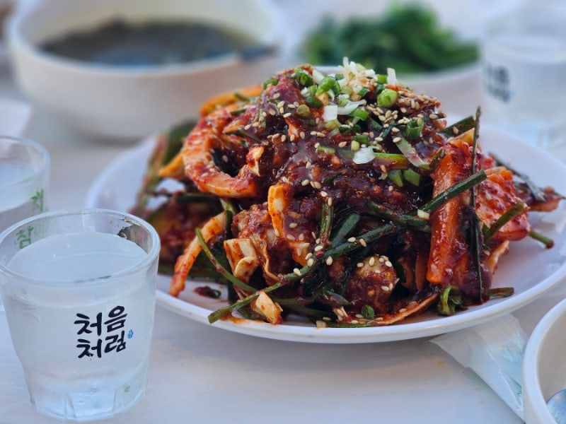 속초여행 동명항 포차거리 황금마차 분위기 있게 한잔!