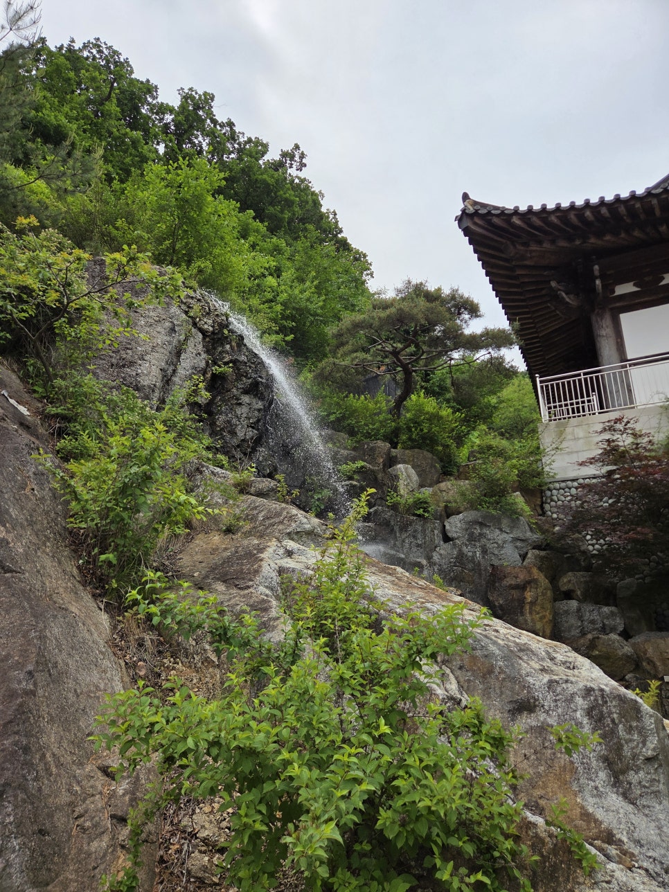 국보디자인 사진 1