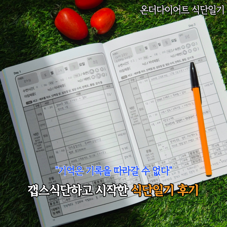  식단일기 써봄 - 기억은 기록을 따라갈수 없다! 온더다이어트 식사일기 후기