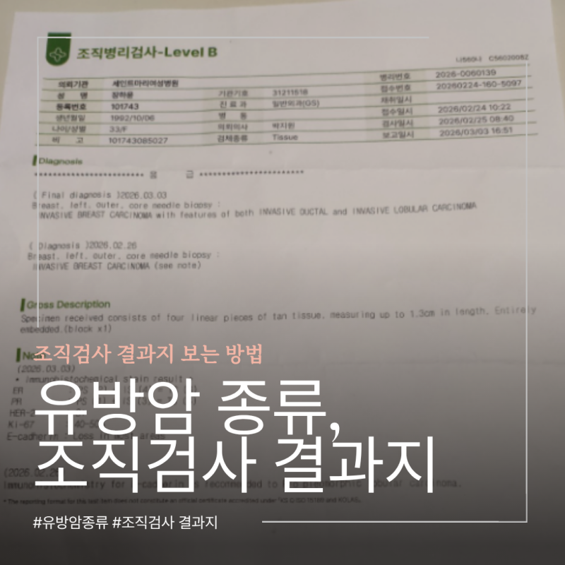 유방암 종류, 조직검사 결과지 해석 어플 확인하는 방법
