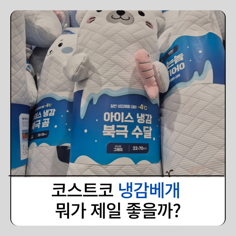 코스트코 냉감베개 뭐 살까? 메모리폼부터 북극수달까지 솔직 비교