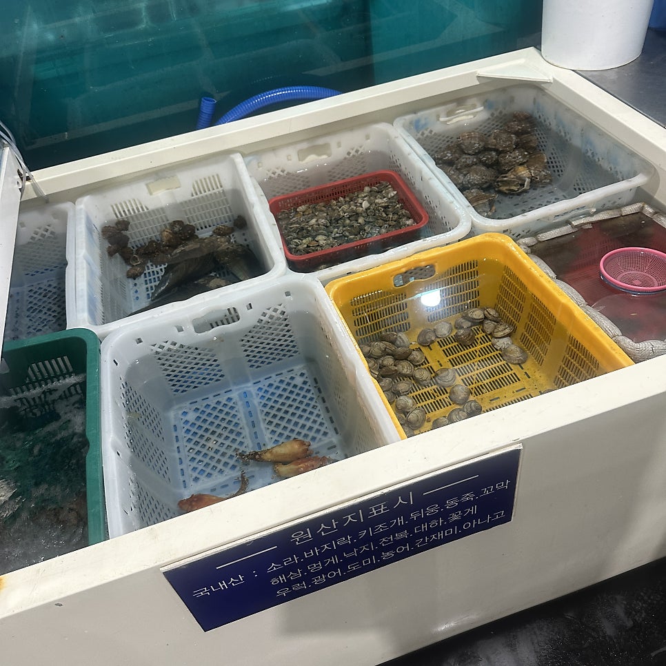 마야횟집 사진 5