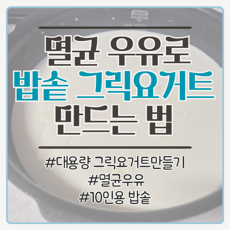 밥솥으로 그릭요거트 만들기! 멸균우유 3L로 그릭요거트 만드는 과정