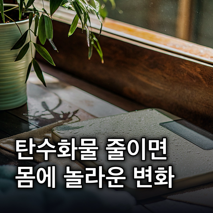  탄수화물을 안 먹으면 생기는 변화