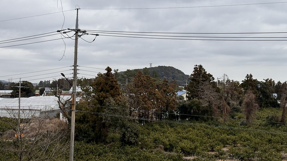 운지악 사진 6
