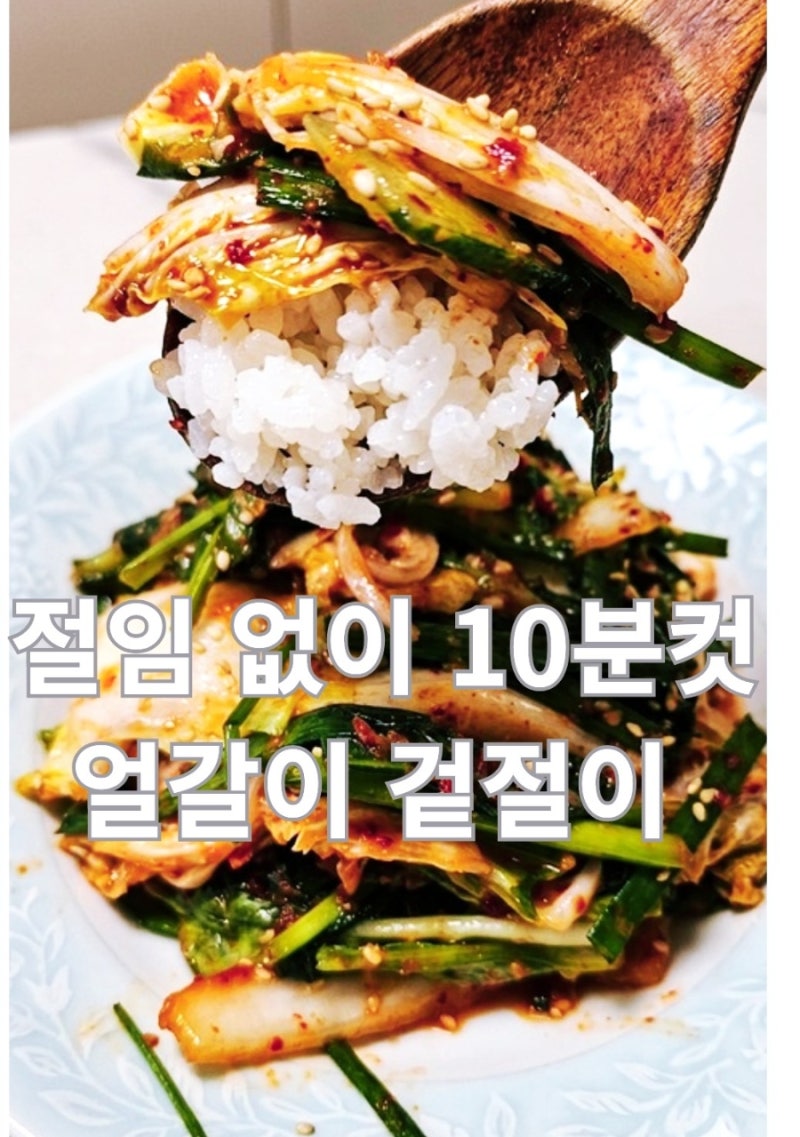 절임 과정 없이 10분 컷! 아삭함 폭발하는 얼갈이 통배추 겉절이 황금 레시피 (나만의 꿀팁 공....