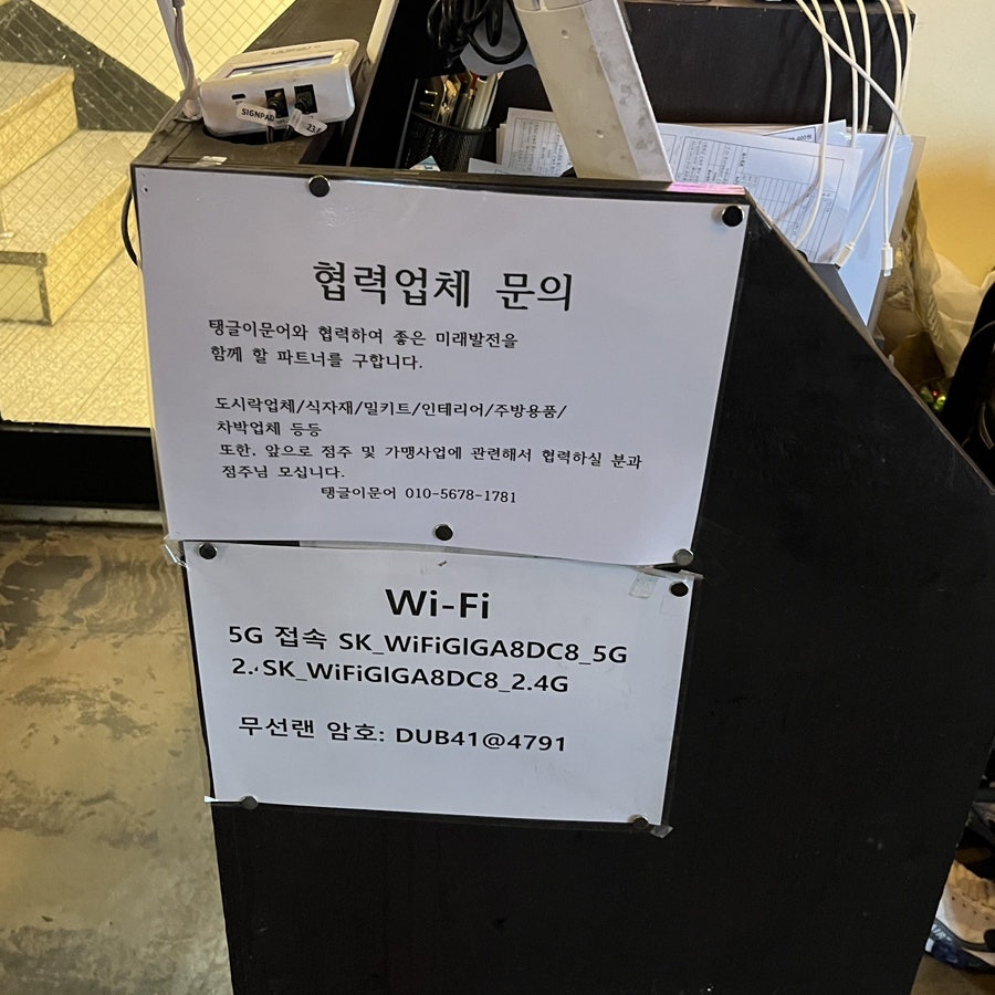탱글이문어 사진 3