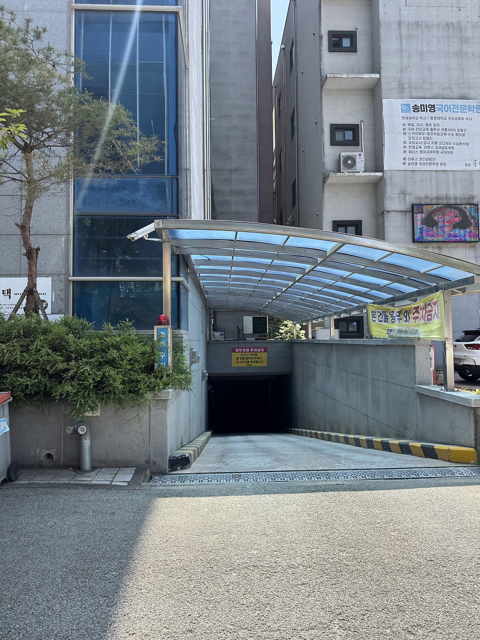 고향시래기 사진 3