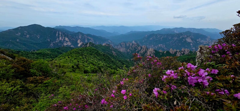 「설악산 대청봉 최단코스 」 너무도 오르고 싶었고, 기대되는 설악의 최고봉 대청봉에 올랐....
