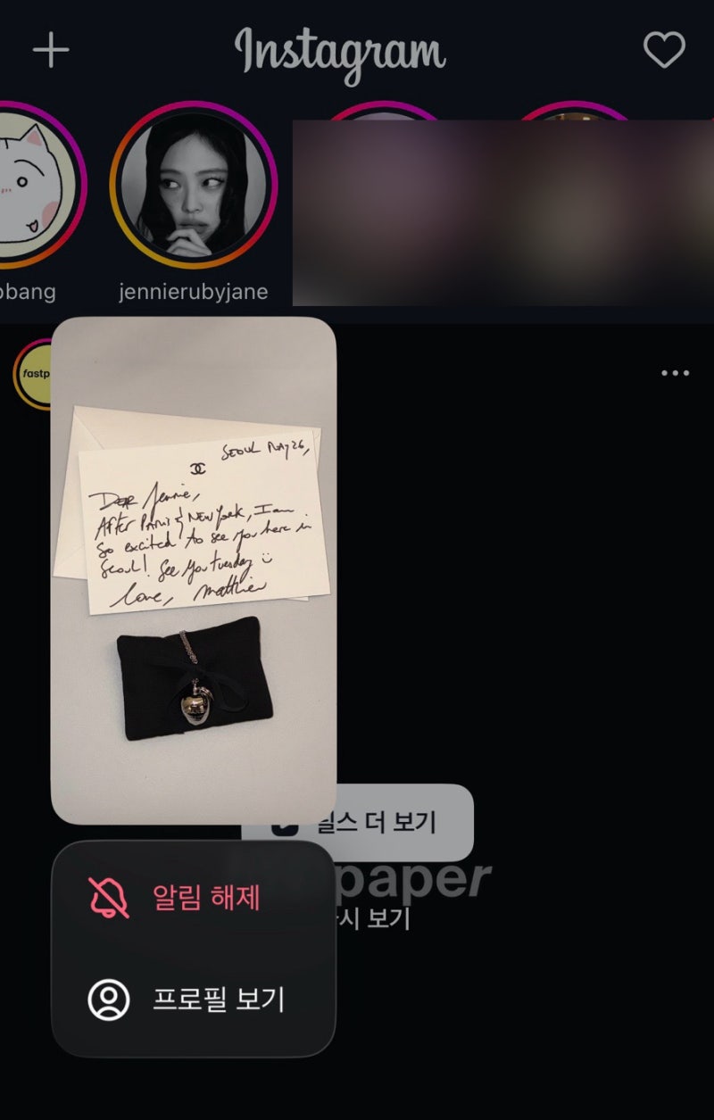인스타그램 플러스 구독 및 스토리 몰래보기 테스트