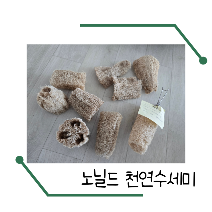  노닐드 못난이 천연수세미 내돈내산 사용후기 사용법