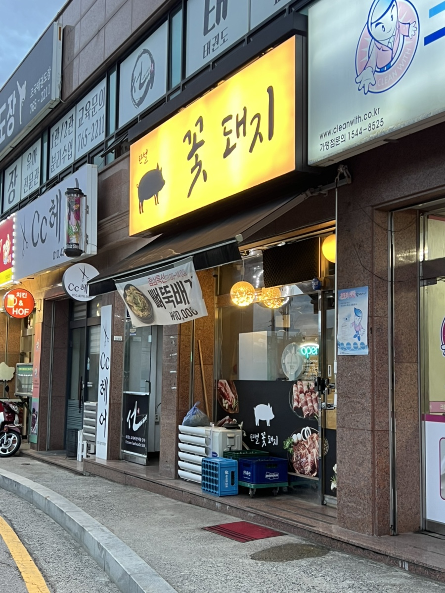탄벌꽃돼지 사진 3