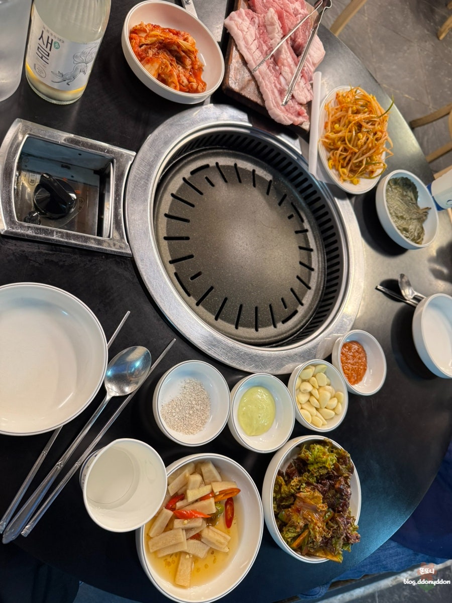 돈마마 사진 5