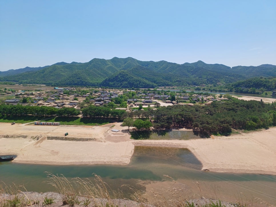 해골 사진 2