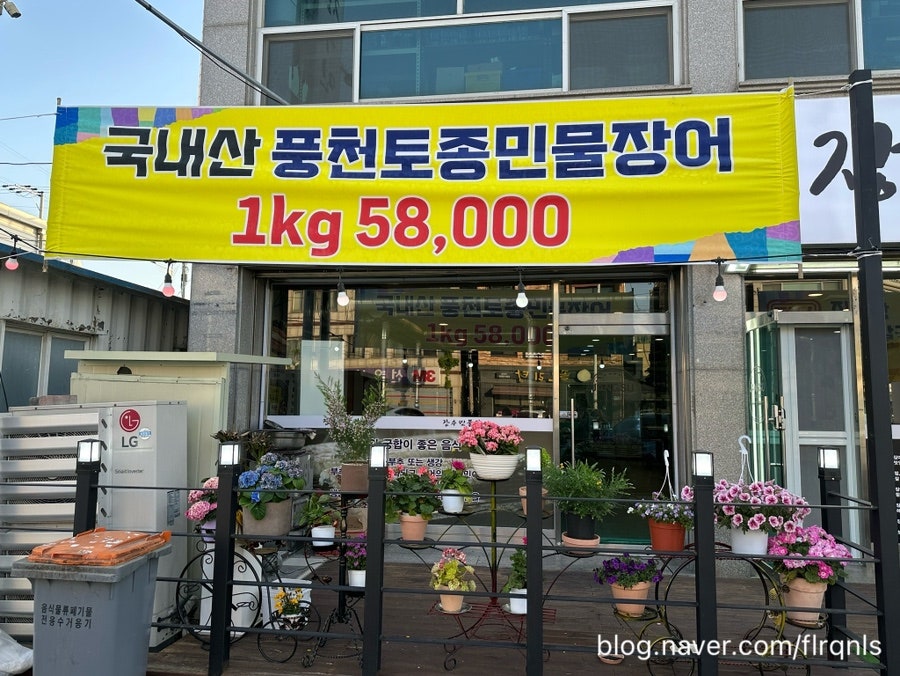 장수민물장어 사진 3