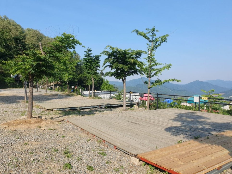 디벨리 사진 4