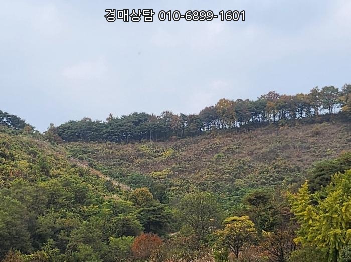  충북 제천시 공장 경매 금성면 월굴리 4 매각 분석 2023-6801