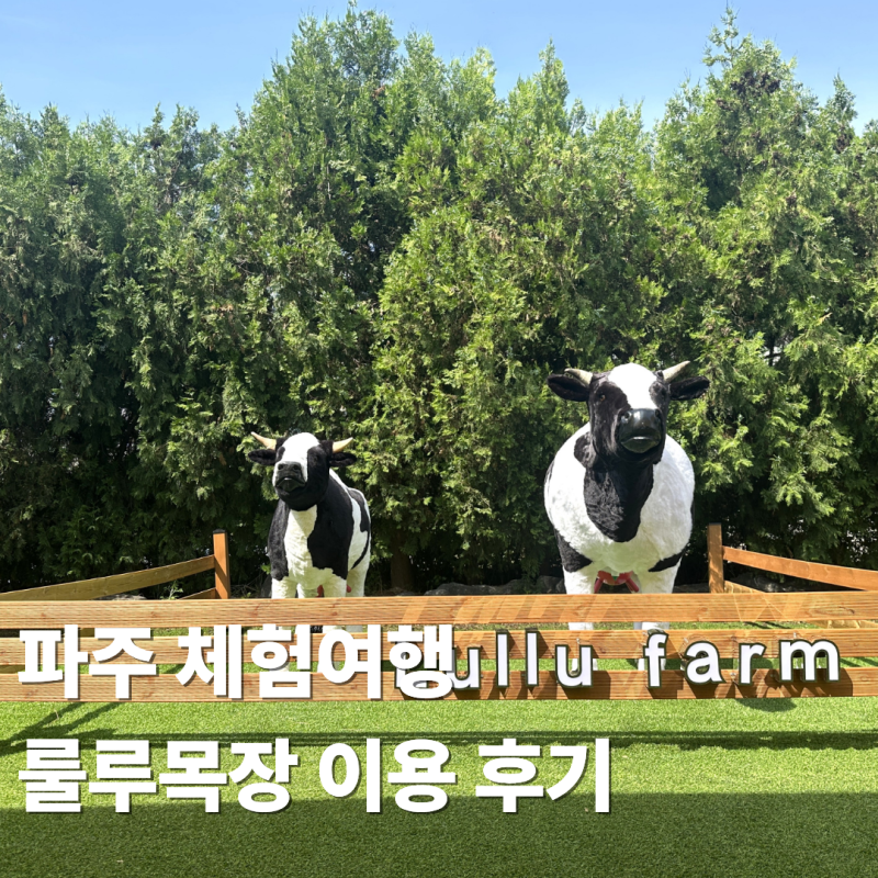 파주 룰루목장 아이와 가볼만한곳 동물체험 이용 후기