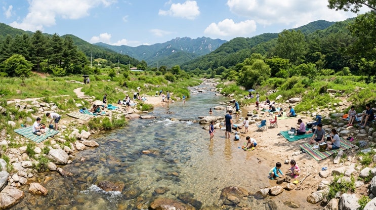 평상 강매·바가지 없는 깨끗한 휴식: 100% 합법화된 전국 '지자체 관리 청정 계곡' 완벽 가이드